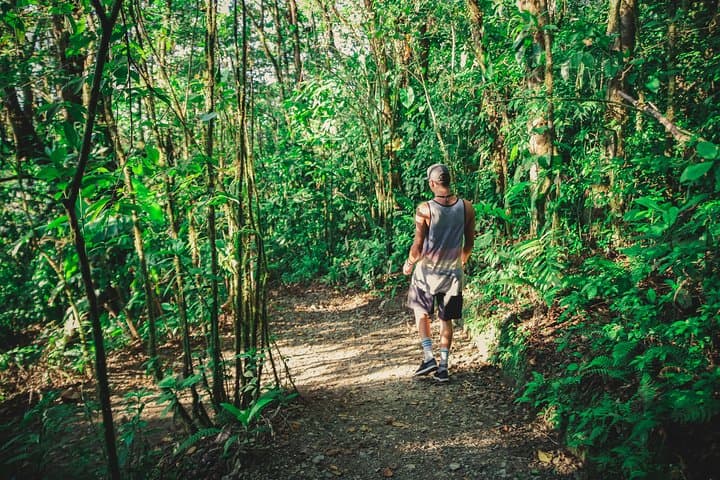 Sky Walk Monteverde: Hanging Bridges & Cloud Forest Walk photo 6