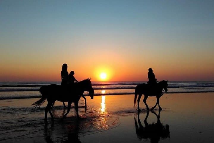 Sunset Beach Horseback Ride in Puerto Plata — Gallop into Caribbean Dusk