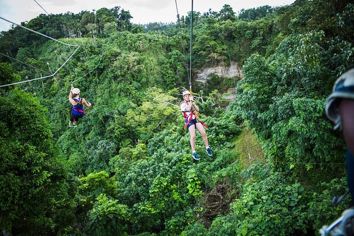 Vanuatu Jungle Zipline: Soar Over Mele Bay and Walk the 120m Skybridge photo 3