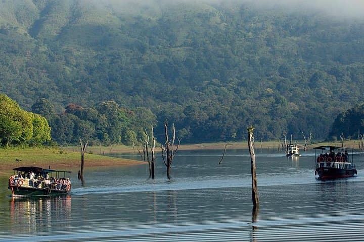 Private 5-Day Kerala Tour: Munnar, Periyar & Alleppey Houseboat