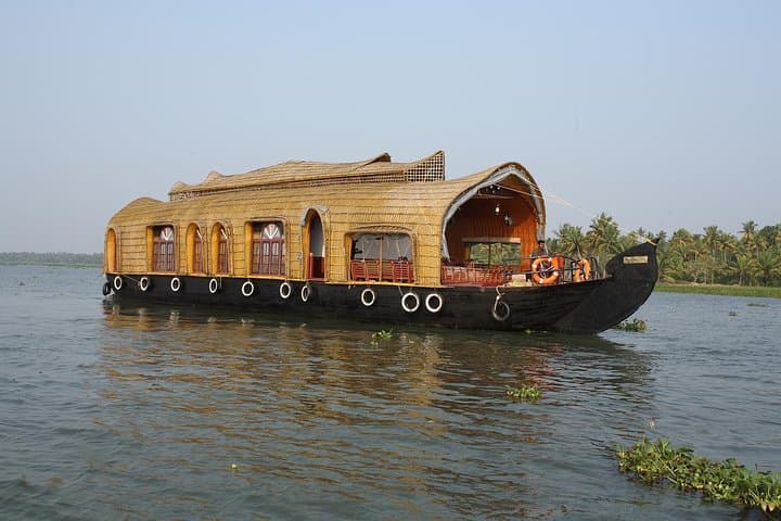 Private 5-Day Kerala Tour: Munnar, Periyar & Alleppey Houseboat photo 2