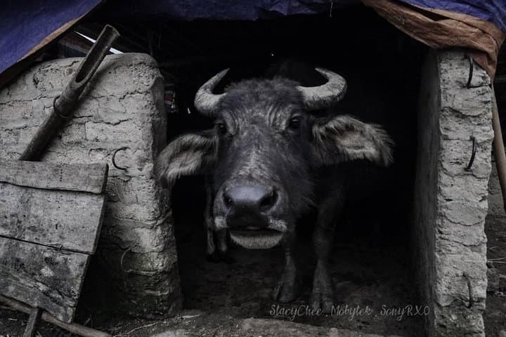 Off-the-Grid Sapa: A Day Trek Through Minority Villages & Rice Terraces photo 5
