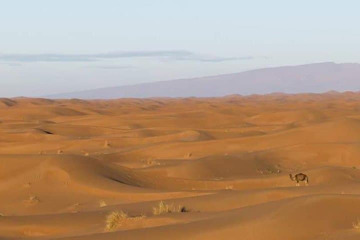 2-Day Desert Tour from M'Hamid to Erg Chigaga — Overnight Sahara Dune Experience