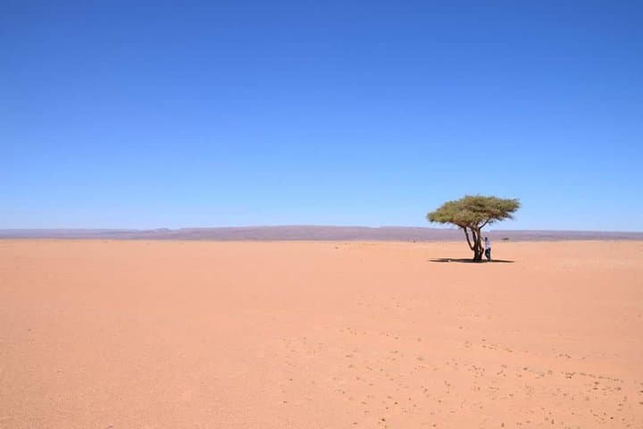 2-Day Desert Tour from M'Hamid to Erg Chigaga — Overnight Sahara Dune Experience photo 4