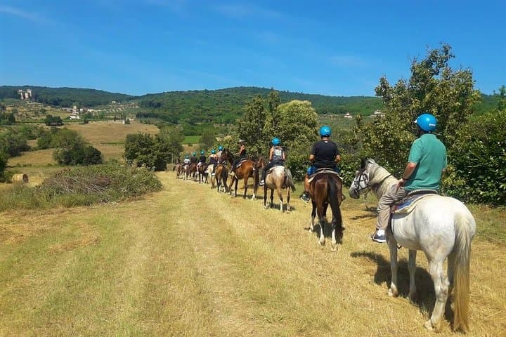 Horseback Riding Through Chianti Vineyards: A 90-Minute Tuscan Trail Ride photo 6