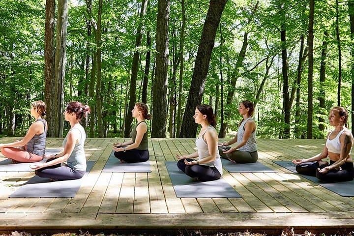 Mount Etna Volcanic Yoga & Meditation: Private Day on the Volcano
