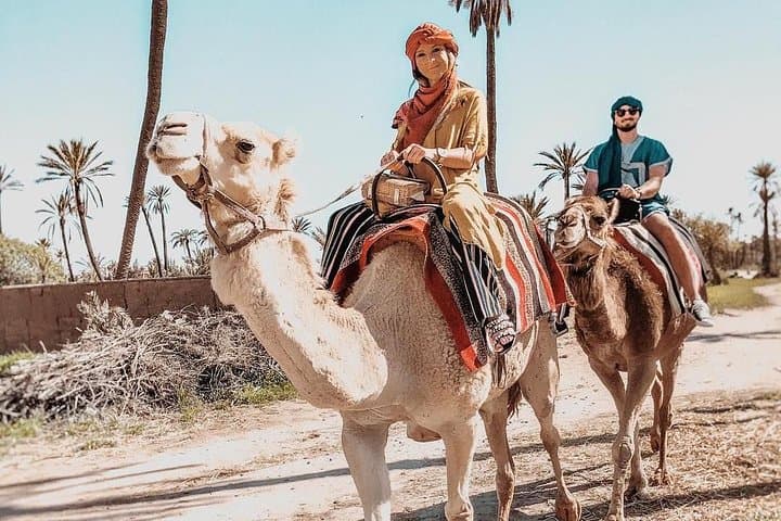 Marrakech Camel Ride in La Palmeraie: Palm-Grove Trek & Berber Tea Experience photo 5