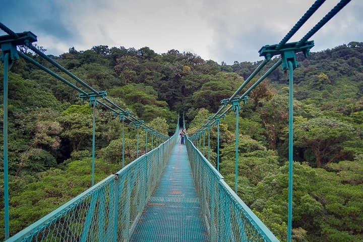 Monteverde Rainforest Canopy Zipline and Hanging Bridges Tour photo 3