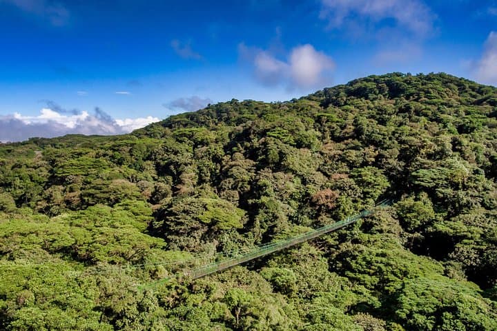 Monteverde Rainforest Canopy Zipline and Hanging Bridges Tour photo 4