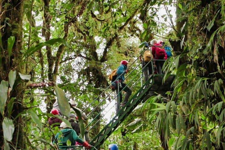 Monteverde Rainforest Canopy Zipline and Hanging Bridges Tour photo 6