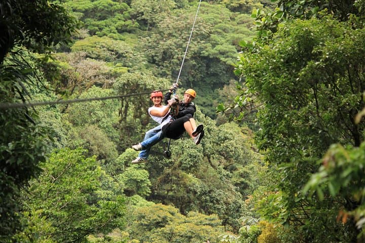 Monteverde Rainforest Canopy Zipline and Hanging Bridges Tour