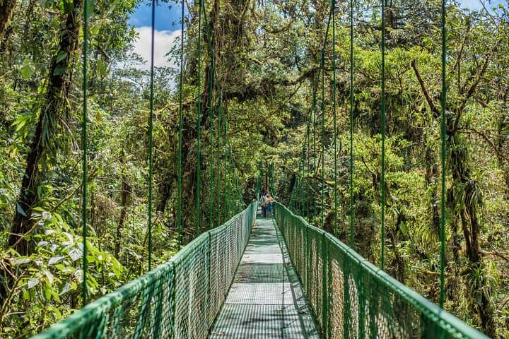 Selvatura Hanging Bridges: Cloud-Forest Canopy Walk from Monteverde photo 4