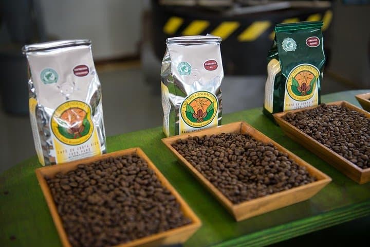 Doka Coffee Tour: Grecia & Sarchi Day Trip from San José photo 2