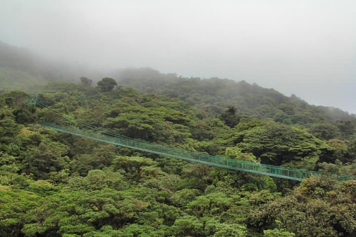 Selvatura Hanging Bridges: Cloud-Forest Canopy Walk from Monteverde photo 3