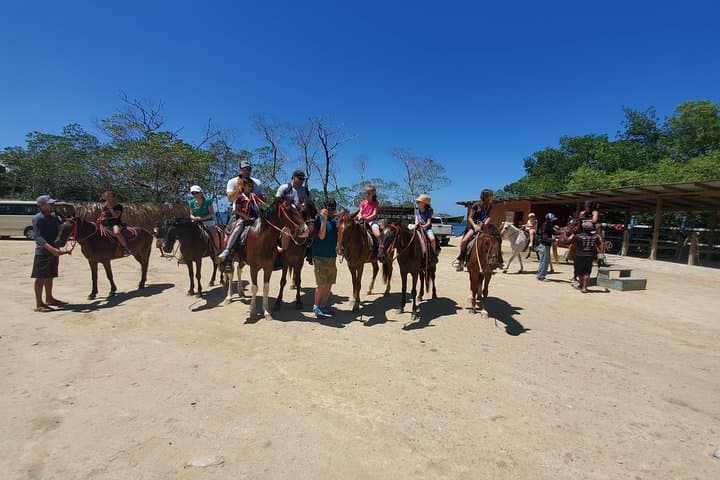 Roatán Horseback Ride, Sloth Park & Glass-Bottom-Boat: Bay Island Combo photo 2