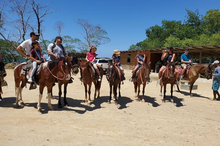 Roatán Horseback Ride, Sloth Park & Glass-Bottom-Boat: Bay Island Combo photo 3