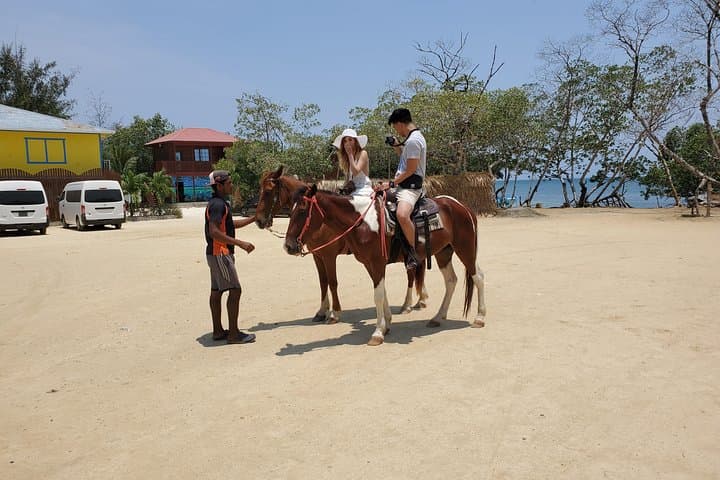 Roatán Horseback Ride, Sloth Park & Glass-Bottom-Boat: Bay Island Combo photo 4