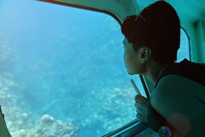 Roatán Horseback Ride, Sloth Park & Glass-Bottom-Boat: Bay Island Combo photo 5