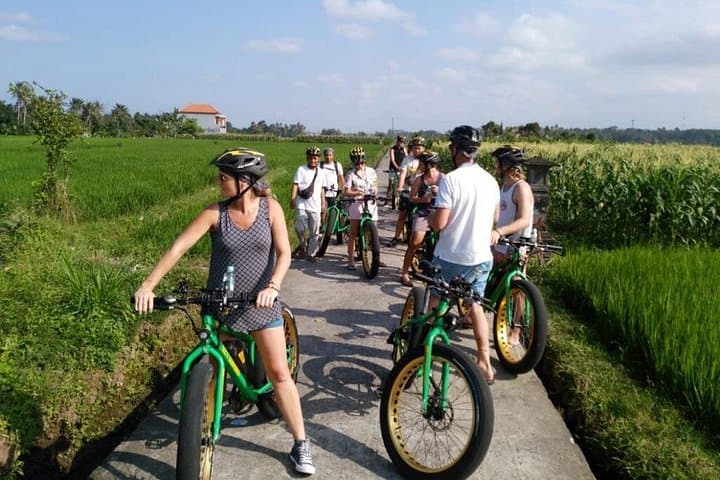 Ubud Rice Terraces E‑Bike Private Tour: Ride Through Rice Paddies & Village Temples photo 1