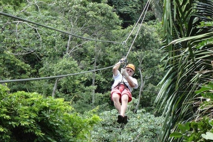 Roatán Zipline, Horseback & Snorkel Adventure: Zip, Meet Sloths, and Swim the Reef photo 4