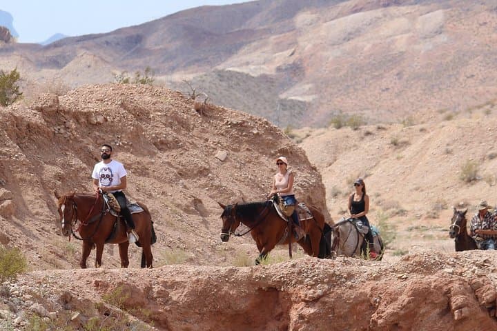 Rainbow Gardens Horseback Ride Near Las Vegas with BBQ photo 4
