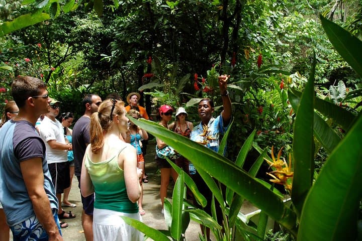 Soufriere Island Delight: Drive-In Volcano, Pitons & Diamond Falls Half-Day Tour photo 2