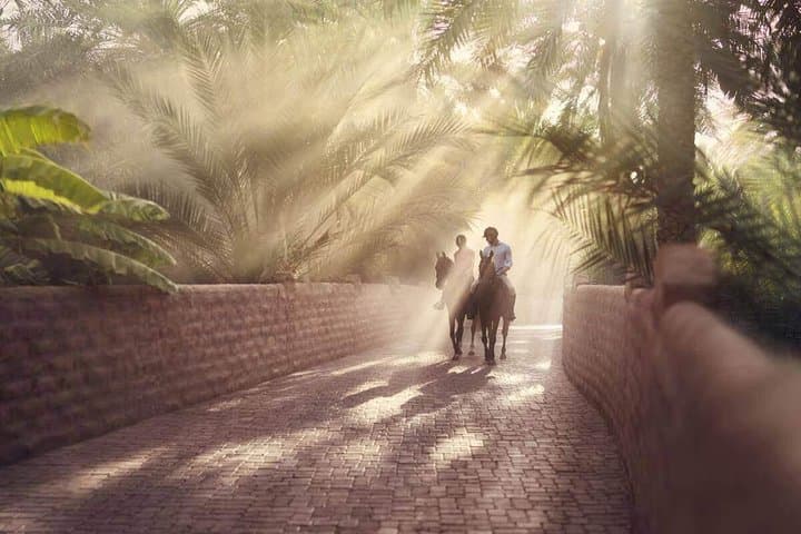 Al Ain Day Trip from Dubai: Jebel Hafeet, Oasis & Camel Market photo 3