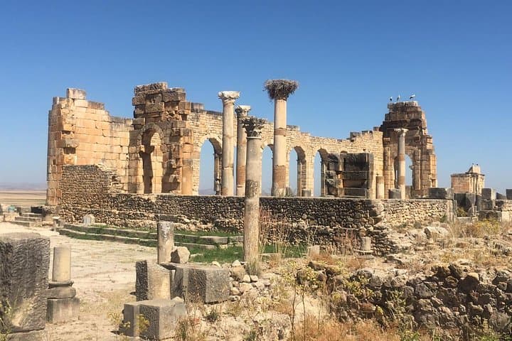 Day Trip from Fes to Volubilis, Meknes & Moulay Idriss — Roman Ruins and Imperial Gates