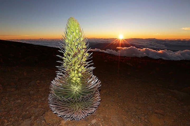 Haleakala Sunset Twilight Tour with Dinner — 9,740-Foot Views on Maui photo 6