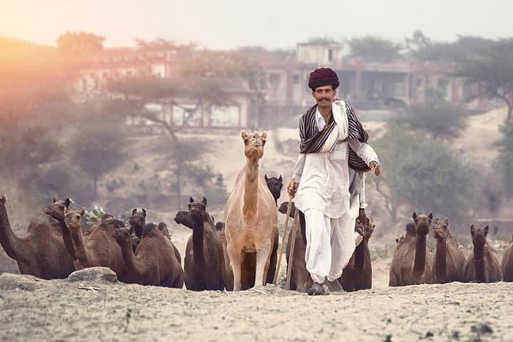 Golden Triangle with Pushkar — 6-Day Delhi, Agra & Jaipur Tour photo 2