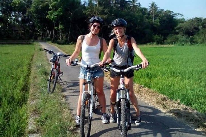 Cycle Past Prambanan: Half-Day Bike Tour Through Rice Fields & Local Crafts photo 2