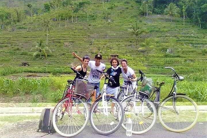 Cycle Past Prambanan: Half-Day Bike Tour Through Rice Fields & Local Crafts photo 5