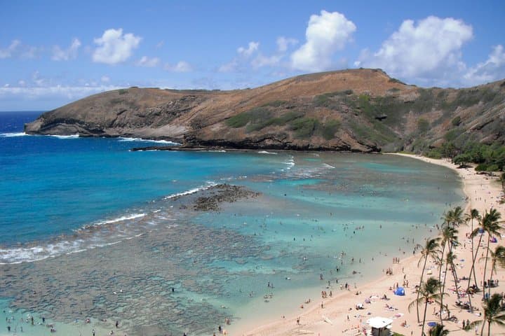 Guided Hanauma Bay Snorkel Tour: Skip the Line & Swim with Turtles photo 2