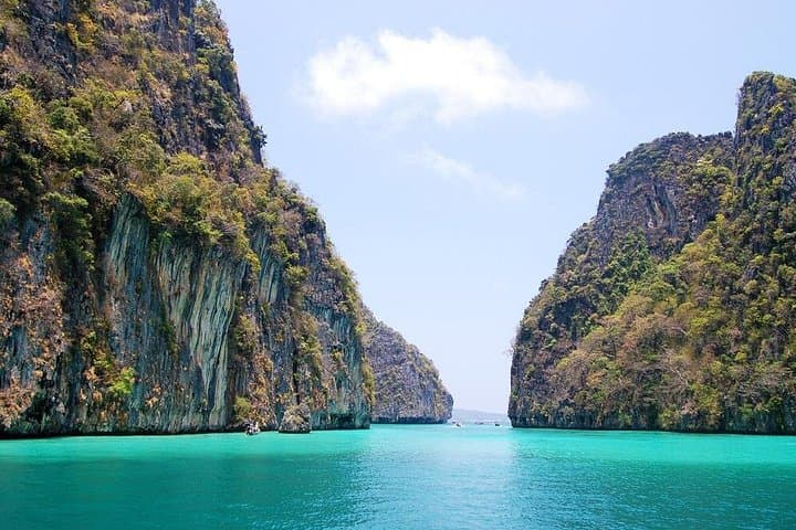 Phi Phi Islands Speedboat Snorkel: Koh Yao Yai to Maya Bay & Koh Bida Nok photo 4