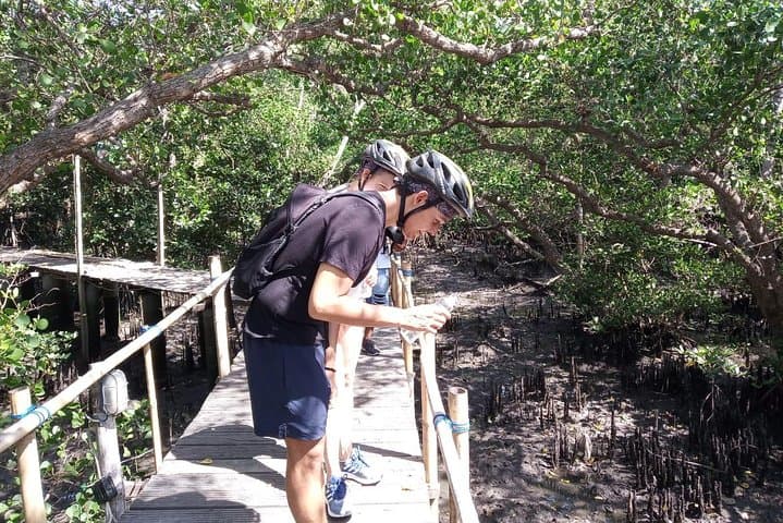 Discover Kuta Beach: An eBike Adventure Through Bali's Vibrant Heart photo 4