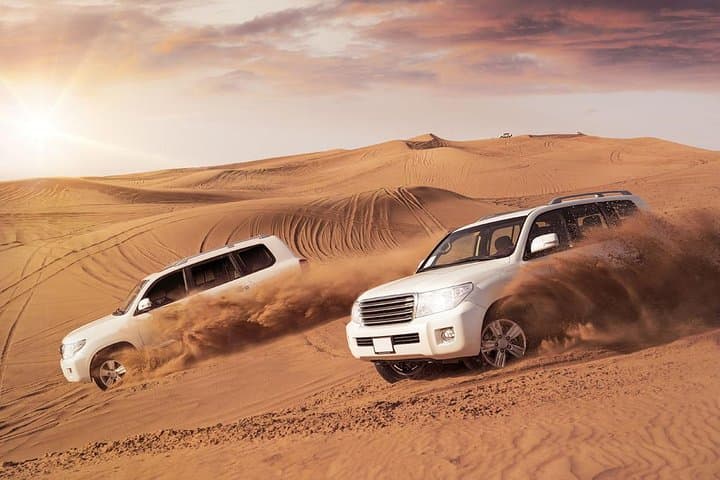 Dubai Desert Safari: Red Dunes 4x4 Dune Bashing, Camel Rides & Falconry photo 2