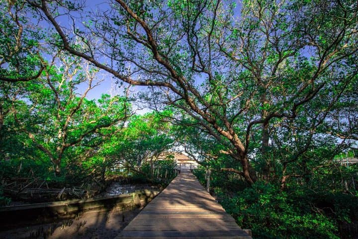 Discover Kuta Beach: An eBike Adventure Through Bali's Vibrant Heart photo 3