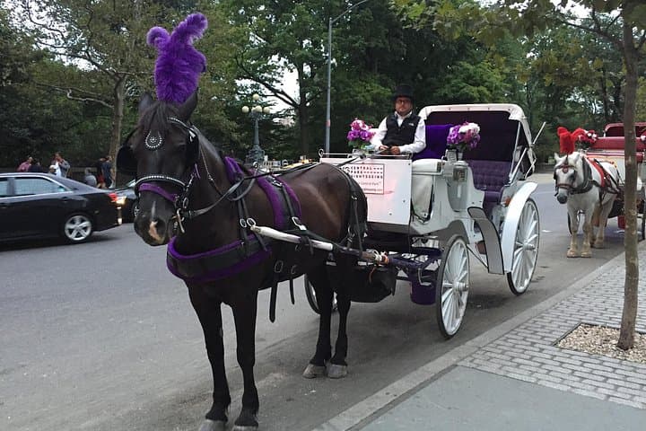 Central Park Horse and Carriage Ride: 45-Minute Historic South End Tour photo 4