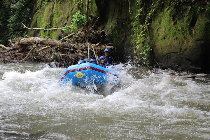 Ayung River Rafting in Ubud: Private All-Inclusive Whitewater Adventure photo 5