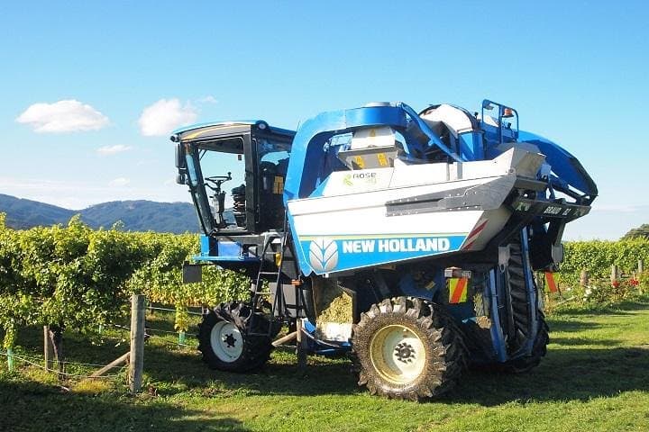 Marlborough Wine and Gourmet Picnic: Vineyard Tastings and Riverside Lunch from Blenheim or Picton photo 2