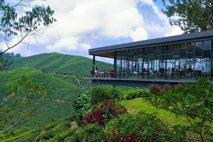 Cameron Highlands Day Trip from Kuala Lumpur — Tea Plantations, Waterfalls & Strawberry Farms photo 2