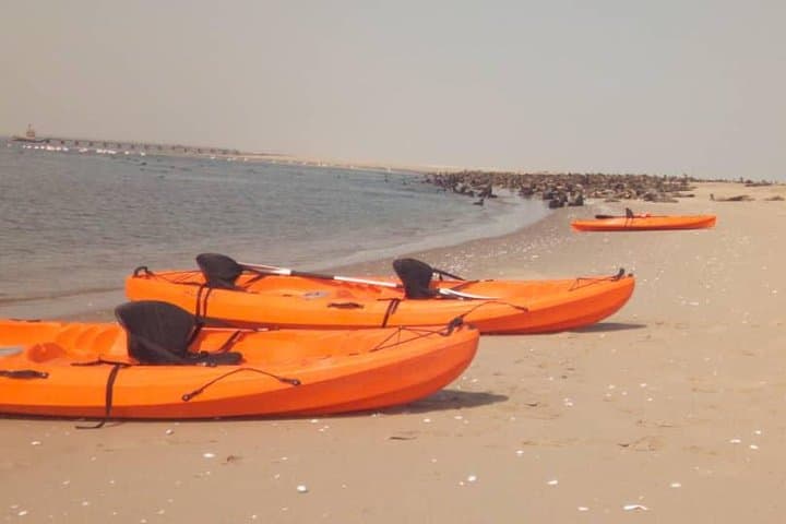 Kayak Pelican Point: Half-Day Wildlife Kayaking in Walvis Bay photo 2