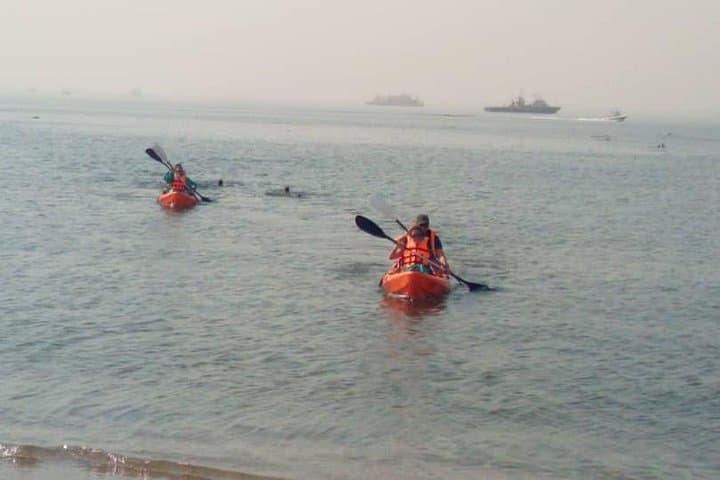 Kayak Pelican Point: Half-Day Wildlife Kayaking in Walvis Bay photo 3