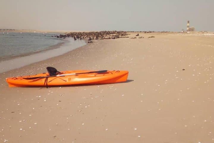 Kayak Pelican Point: Half-Day Wildlife Kayaking in Walvis Bay photo 4