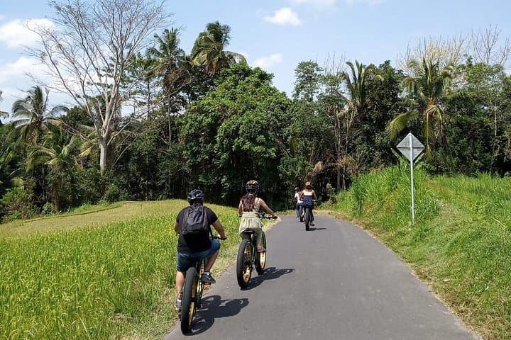 Ubud Rice Terraces E‑Bike Private Tour: Ride Through Rice Paddies & Village Temples photo 4