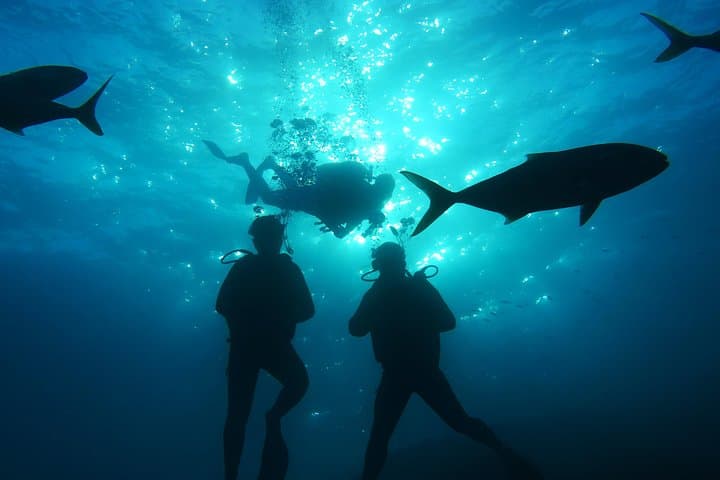 Amorgos Fun Diving: Guided Boat Dives & Snorkeling in the Cyclades