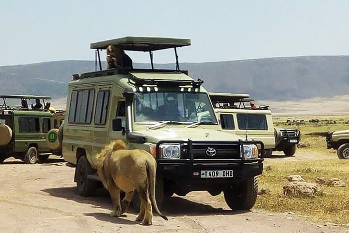 Ngorongoro Crater Day Trip: Big Game and Ancient Caldera from Arusha