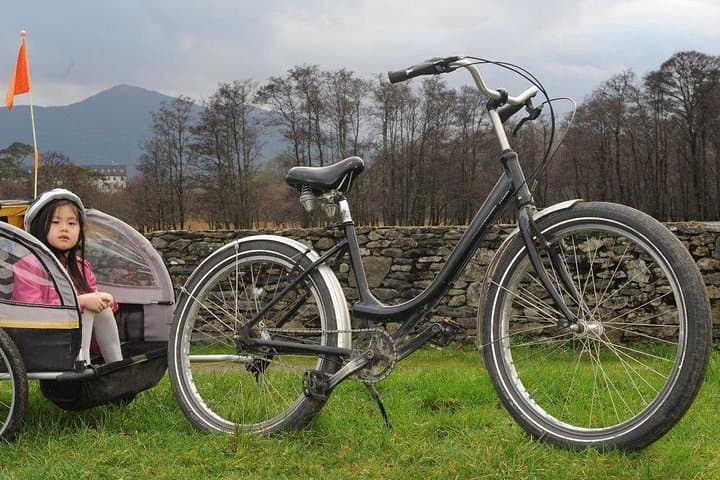 Self-Guided Full-Day Cycling from Killarney: Muckross Loops & Lakeside Routes photo 2