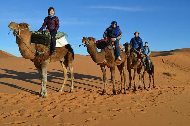 2-Day Zagora Desert Overnight: Camel Trek & Private Nomad Camp from Marrakech