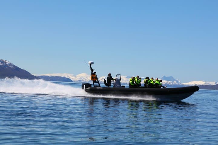 Tromsø to Skjervøy RIB Whale Watching: Full-Day Orca & Humpback Search photo 3